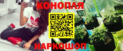 шишки Камышлов