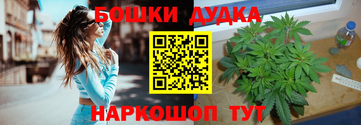 Каннабис индика Кунгур